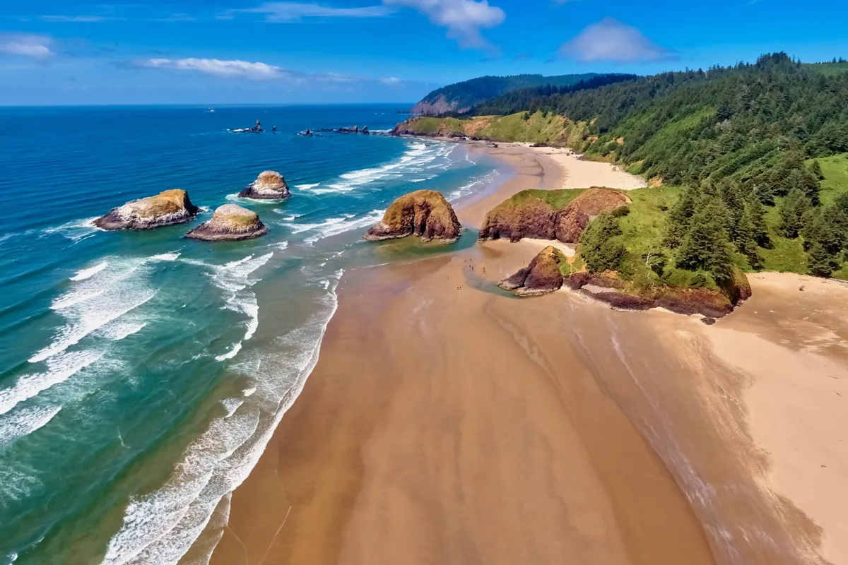 A tranquil exterior view showcasing rocky formations, gentle ocean waves, and a sandy beach set against a backdrop of forested hills. The image evokes a sense of calm and the allure of the Pacific Northwest coastline, suggesting opportunities for beachcombing and group exploration.